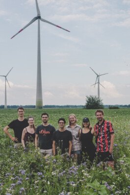 Der Vorstand des Blühfelder e.V. steht in einem Blühfeld, im Hintergrund sind Windräder zu sehen.