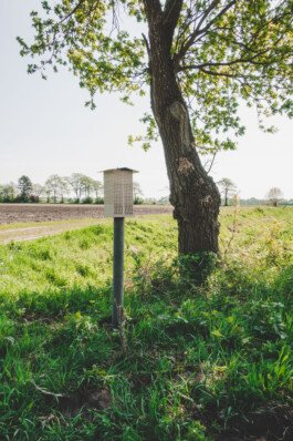 Eine Insekten-Nisthilfe steht neben einem Baum am Rande eines Ackers. 
